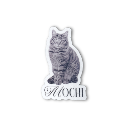 Sparkling Personalized Pet Name Sticker